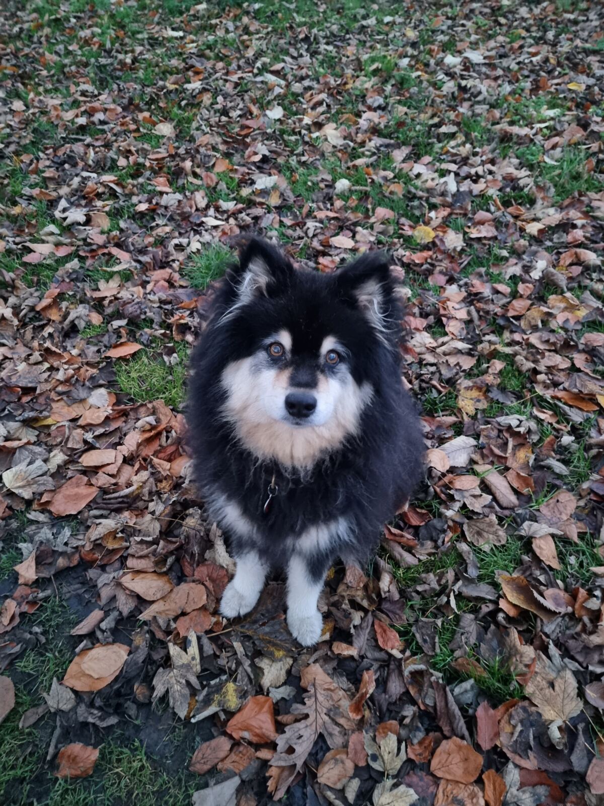 Miia enjoying a walk in Edinburgh